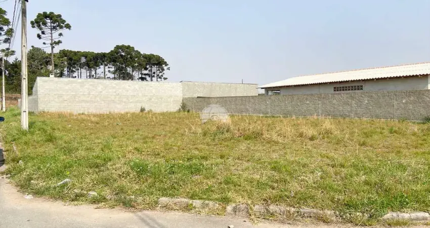 Terreno à venda na Rua Ignez Gazzola Cruz, 001, Rio Pequeno, São José dos Pinhais