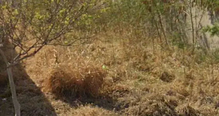 Terreno para venda em loteamento vem viver piracicaba i de 175.00m²