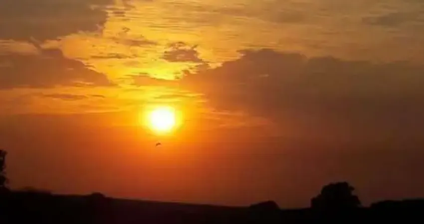 Chácara para venda em santa rita de 300.00m² com 3 quartos, 1 suite e 10 garagens