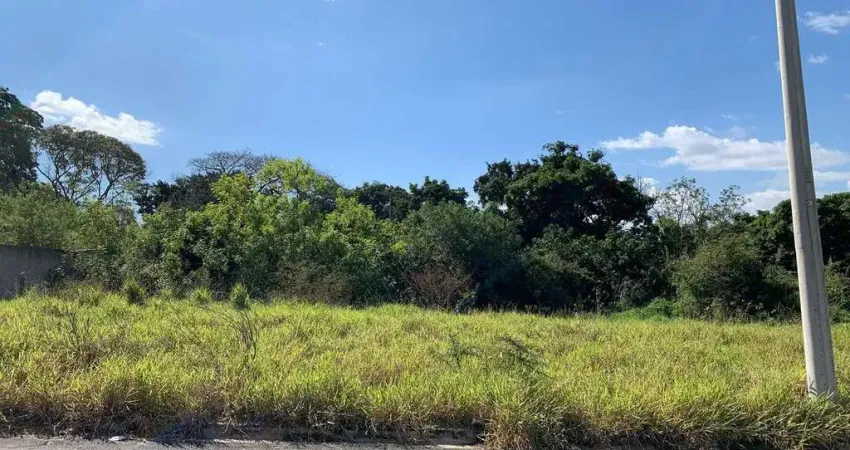 Terreno à venda na Rua Joaquim Augusto Terra, Jardim São Judas Tadeu, Campinas