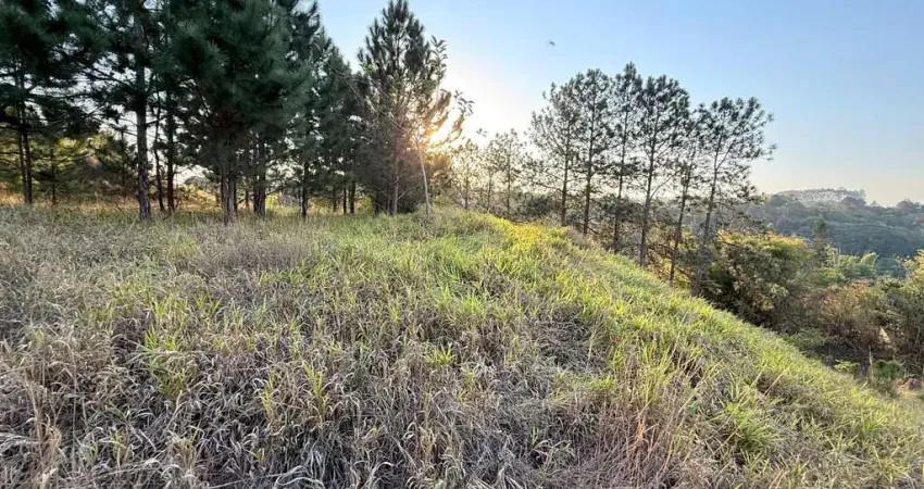Terreno à venda no Centro, Biritiba-Mirim