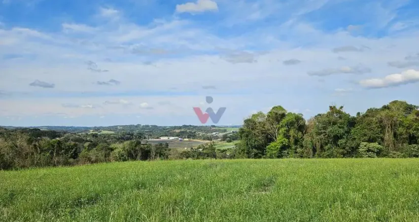 Chácara para venda em área rural de araucária de 23000.00m² com 1 quarto