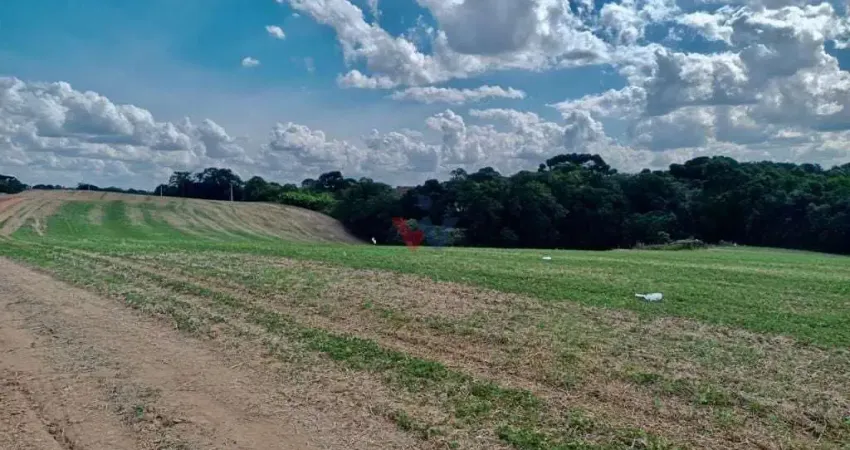 Chácara para venda em área rural de araucária de 23606.00m² com 1 quarto