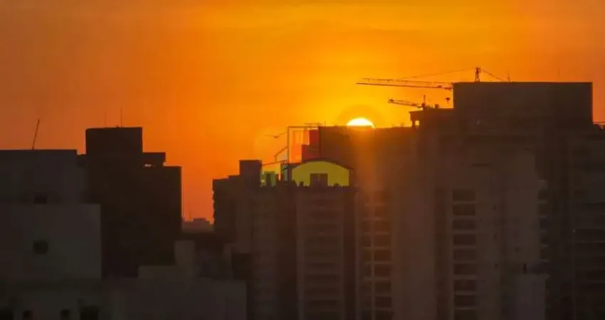 Apartamento com 1 quarto para alugar na Rua Ettore Lantieri, 10, Sacomã, São Paulo