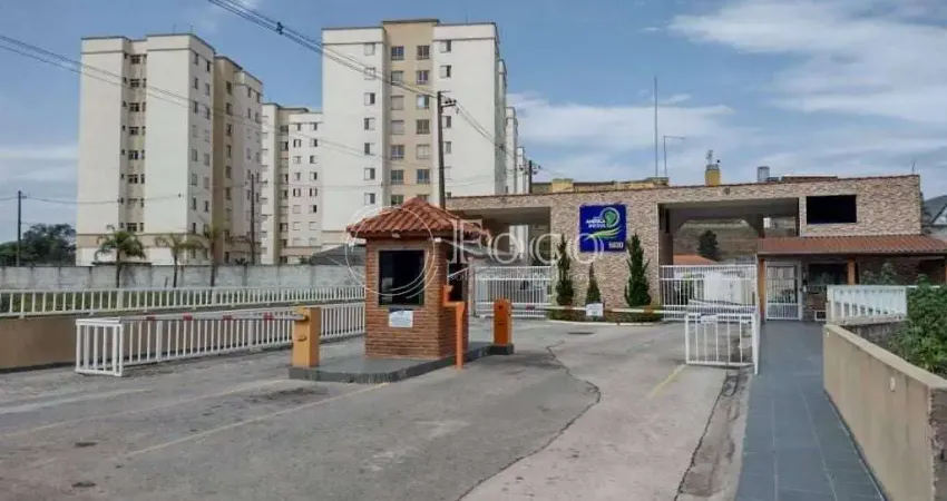 Apartamento para venda em jardim albertina de 48.00m² com 2 quartos