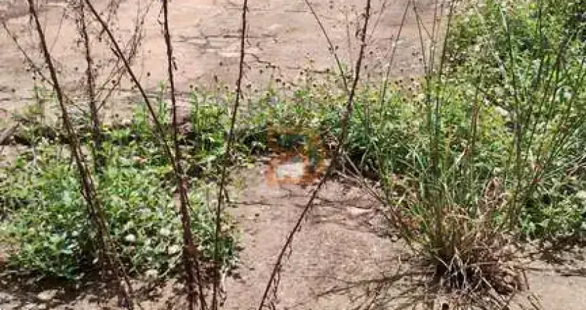 Terreno à venda na Rua Luiz Edne Bueno, Parque do Estado II, Mogi Mirim