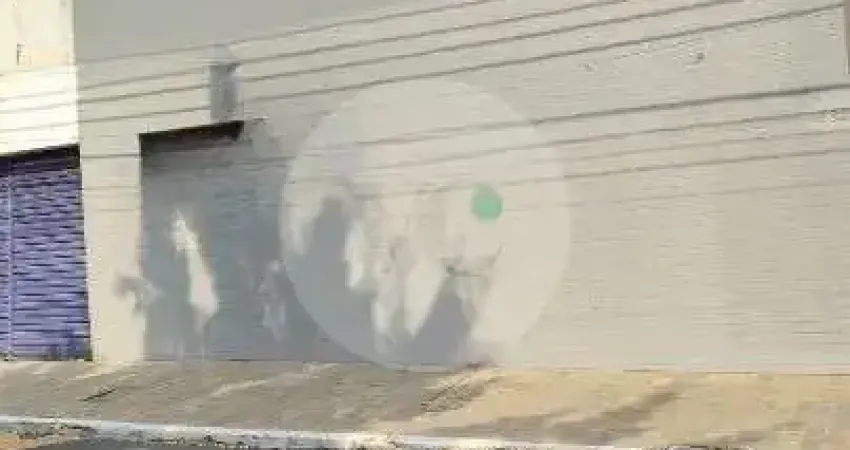 Galpão / depósito / armazém para alugar em vila prado de 500.00m²