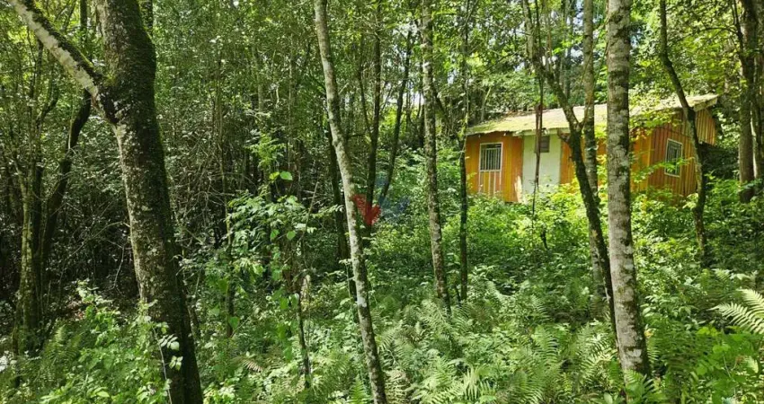 Chácara / sítio com 1 quarto à venda em São Miguel, Almirante Tamandaré 