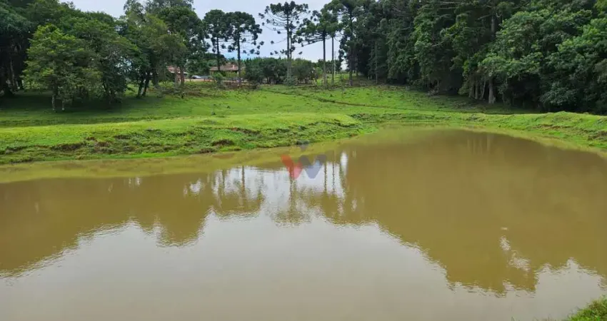 Chácara para venda em área rural de araucária de 250.00m² com 6 quartos e 3 garagens