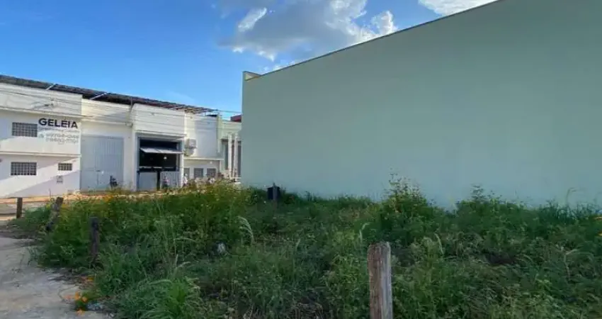 Terreno à venda na Rua Reverendo Cyrus Basset Dawsey, *, Novo Parque São Vicente, Birigui