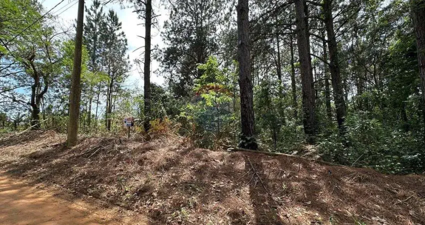 Terreno à venda no Centro, Pardinho 