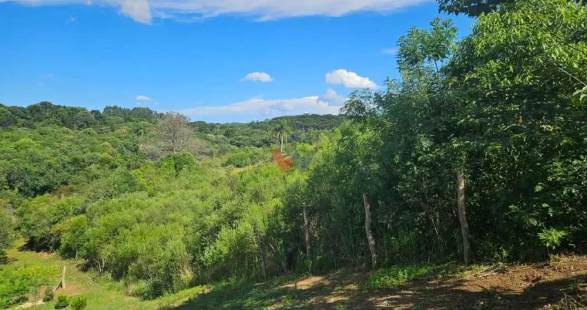 Chácara / sítio com 1 quarto à venda no Centro, Contenda 