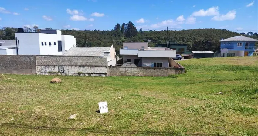 Terreno em condomínio fechado à venda na Rua do Quivi, 341, Arruda, Colombo