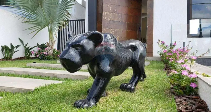 Casa para venda em residencial colinas do aruã de 340.00m² com 3 quartos, 3 suites e 10 garagens