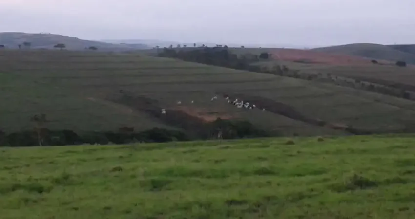 Fazenda / sítio para venda em zona rural de 500.00m² com 5 quartos, 2 suites e 16 garagens
