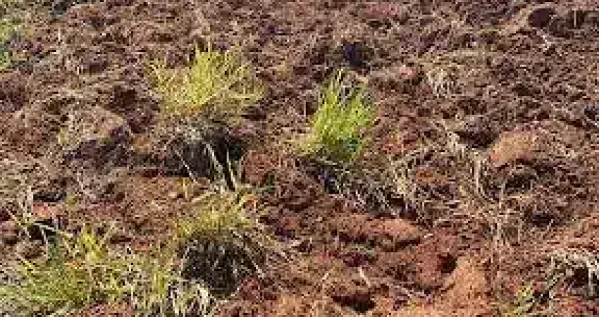 Terreno en condomínio para venda em condomínio empresarial panamericano de 1596.00m²