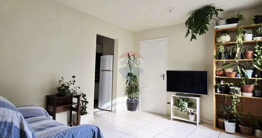 Apartamento para venda em ipê de 46.00m² com 2 quartos e 1 garagem