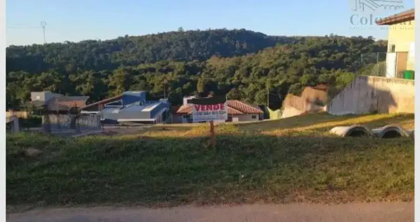 Terreno para venda em horizonte azul - village ambiental ii de 1000.00m²