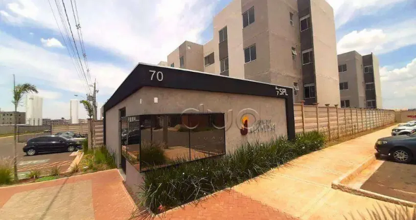 Apartamento para alugar em água branca de 45.00m² com 2 quartos e 1 garagem