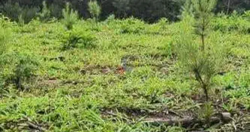 Fazenda / sítio para venda em três córregos de 411400.00m² com 1 quarto