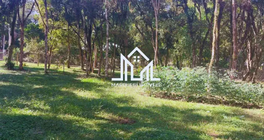 Chácara / sítio com 1 quarto à venda na Rodovia PR 281, 1, Campina, Tijucas do Sul