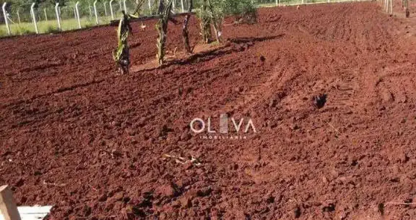 Chácara / sítio com 1 quarto à venda no São Luiz I (Talhado), São José do Rio Preto