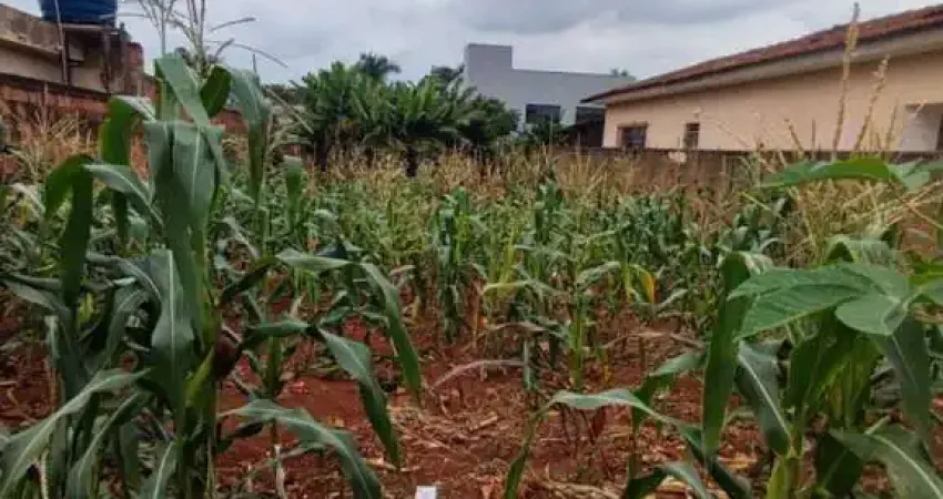 Terreno à venda na Vila Molon, Americana