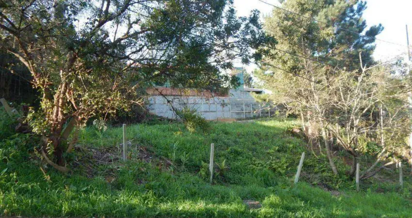 Terreno à venda na Rua Onofre Pedro dos Santos, 54, São João, Curitiba