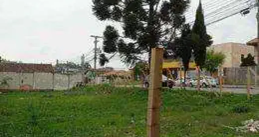 Terreno à venda na Rodovia BR-116, 301, Tarumã, Curitiba