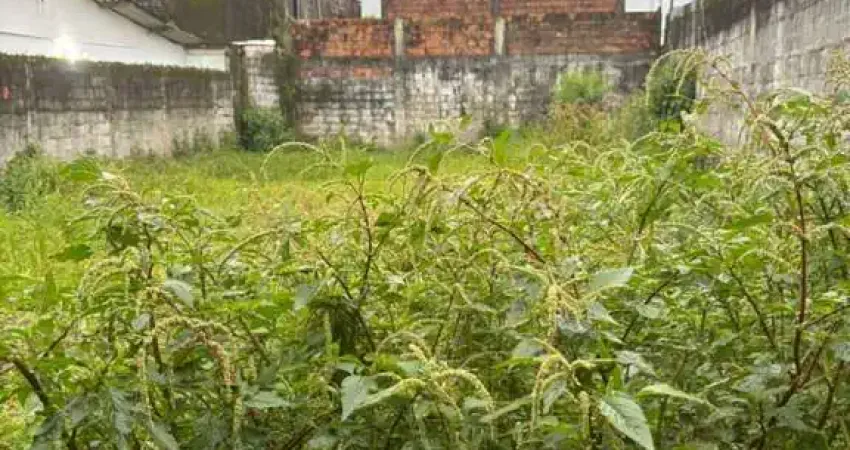Terreno à venda na Rua Afrânio Peixoto, 1736361, Balneário Esmeralda, Praia Grande