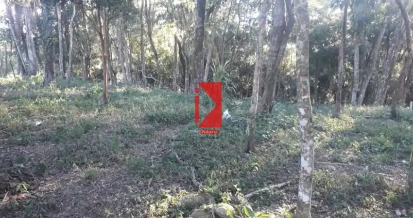 Terreno à venda no Centro, Piedade