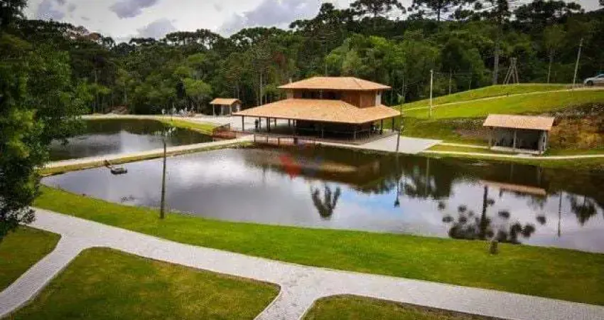 Chácara para venda em campina grande do sul de 24200.00m² com 1 quarto