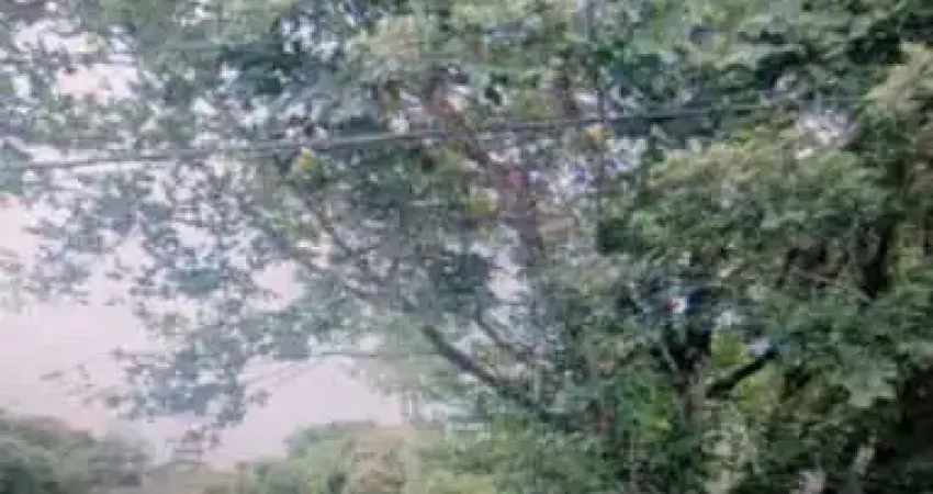 Lote / terreno para venda em são braz de 2486.00m² com 1 quarto