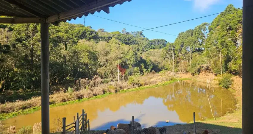 Chácara / sítio com 4 quartos à venda no Centro, Contenda