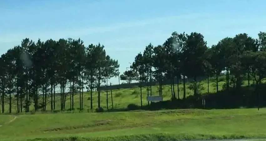 Terreno comercial para alugar na Rua Flôr do Carvalho, 1755003, Éden, Sorocaba