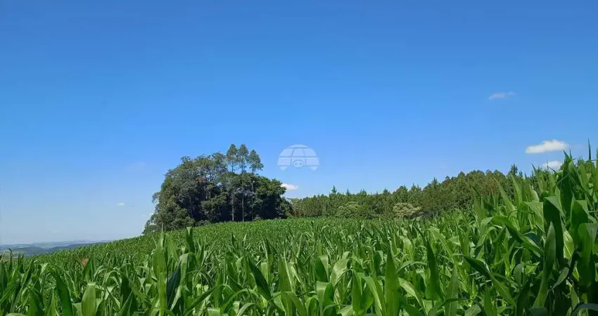 Terreno à venda no Centro, Reserva