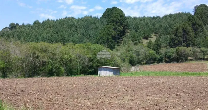Chácara para venda em bocaiúva do sul de 67161.00m² com 2 quartos e 1 garagem