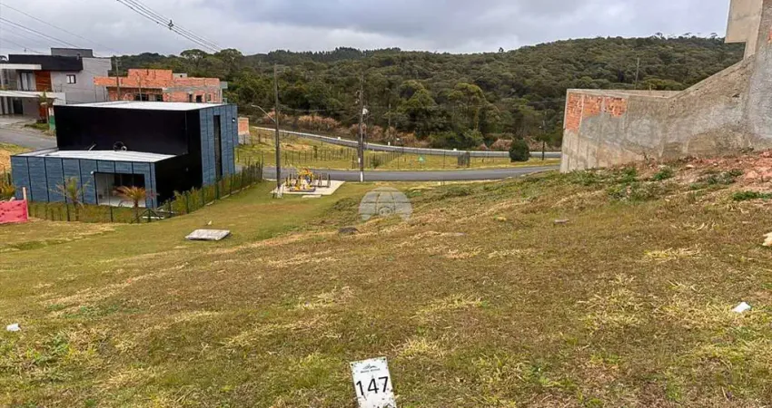 Terreno à venda na Rua do Quivi, 341, Arruda, Colombo