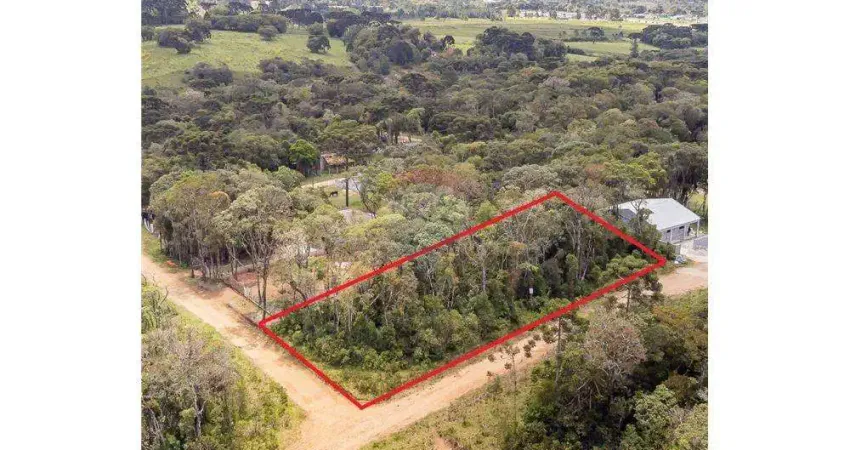 Terreno à venda na Estrada da Roseira, 10, Borda do Campo, São José dos Pinhais