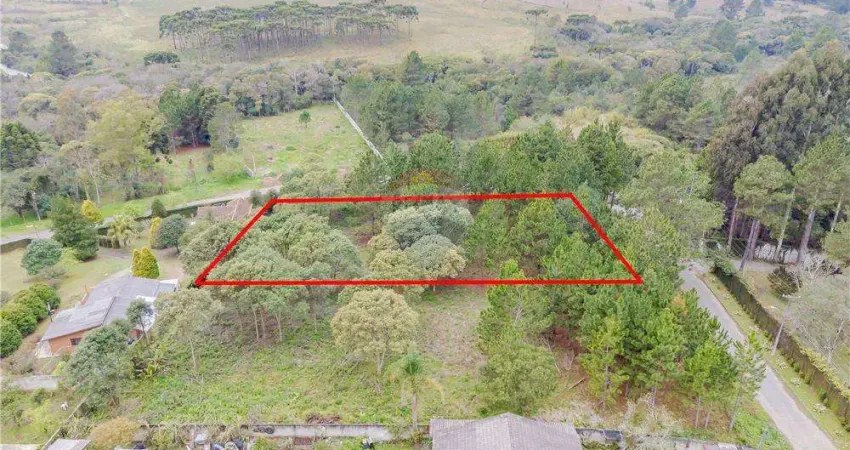 Terreno à venda na Rua Manoel Pereira da Silva, 681, Parque das Nascentes, Pinhais