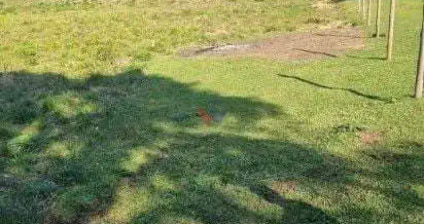 Galpão / depósito / armazém para venda em centro de 49000.00m²