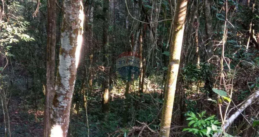 Terreno em condomínio fechado à venda no Jardins de Petrópolis, Nova Lima