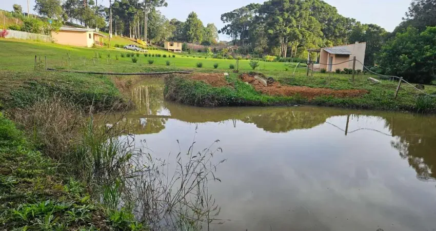 Chácara para venda em área rural de araucária de 20000.00m² com 1 quarto