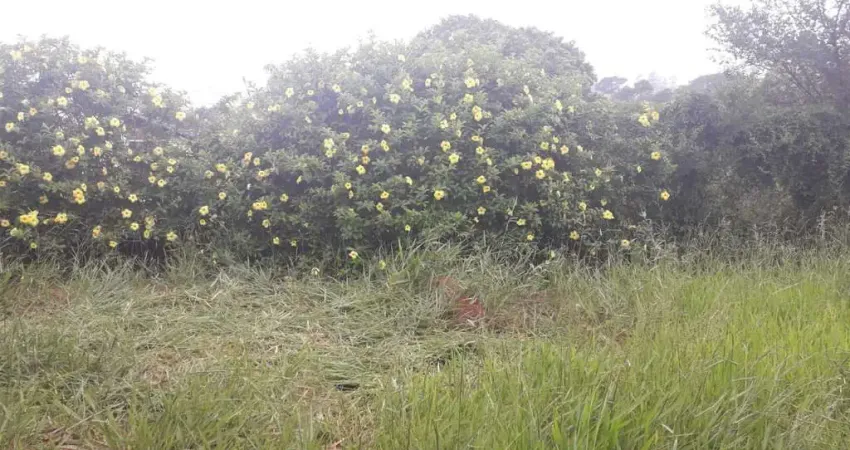 Terreno à venda na Rodovia Anhangüera, 1760212, Jardim García, Campinas