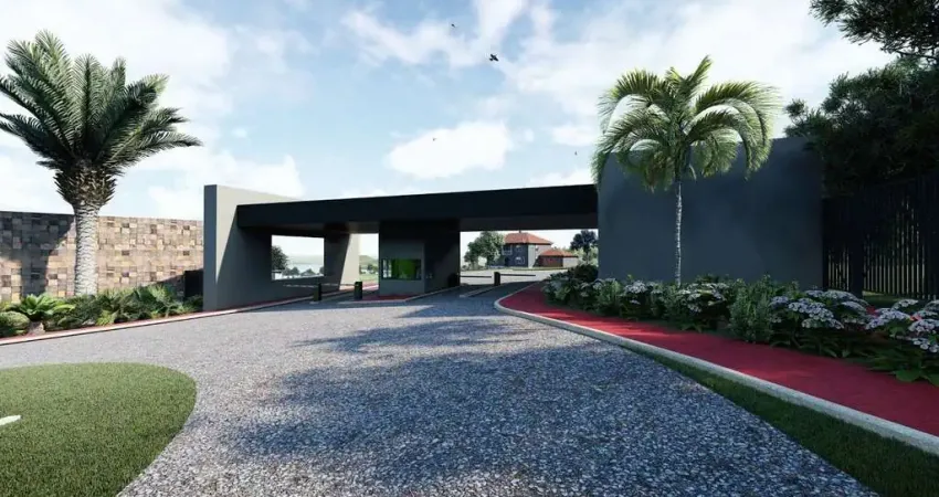 Terreno à venda no Centro, Zacarias