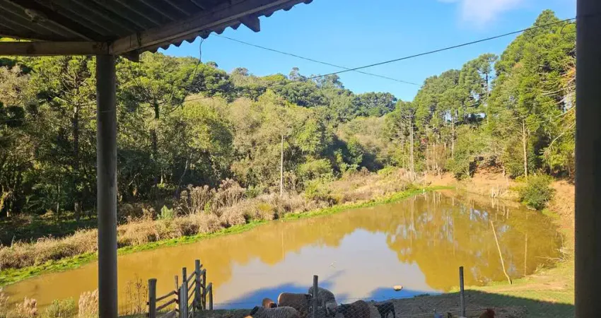 Chácara / sítio com 4 quartos à venda no Centro, Contenda