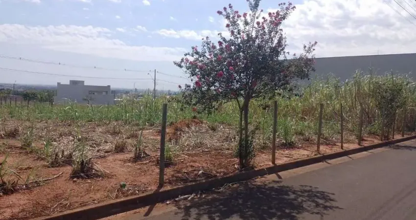 Terreno à venda na Rua Nestor Hecht, ***, Parque das Árvores II, Birigui