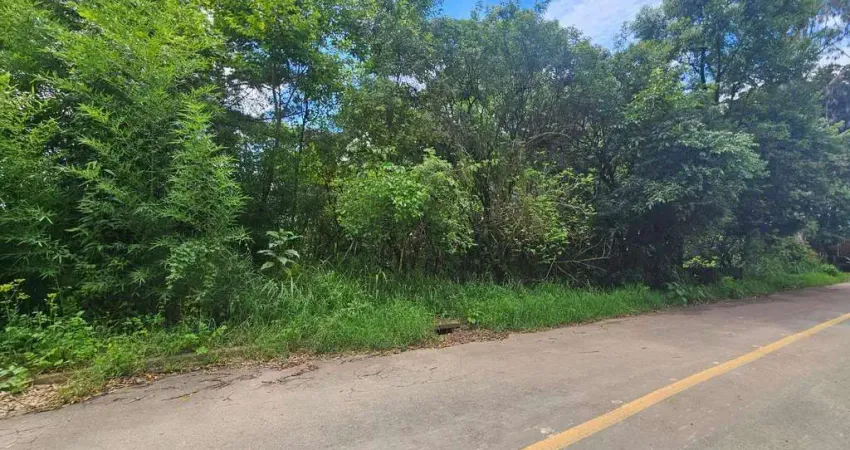Terreno à venda em São Miguel, Almirante Tamandaré