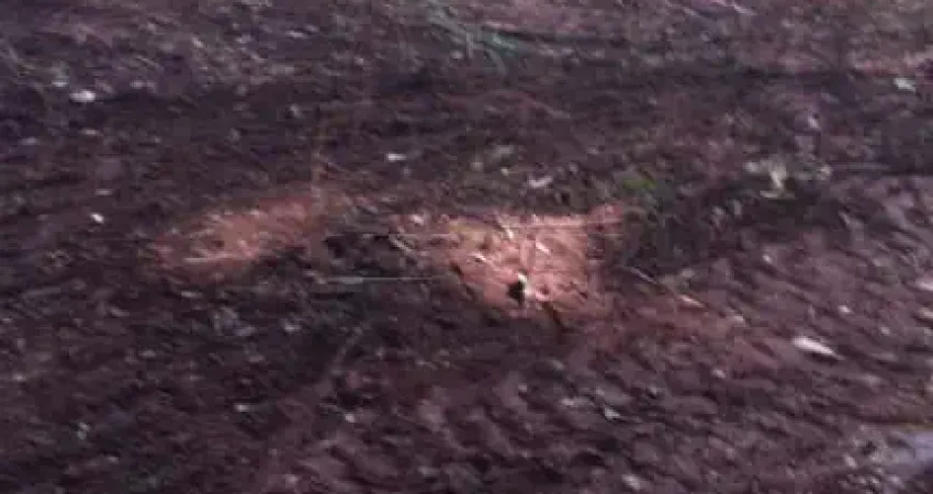 Terreno para venda em jardim brasil (vila xavier) de 1312.00m²