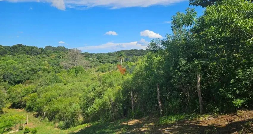 Chácara / sítio com 1 quarto à venda no Centro, Contenda